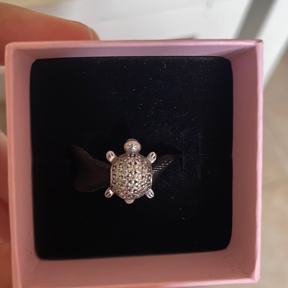 Turtle Pandora charm